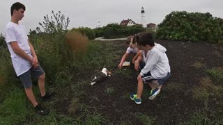 Saving injured Seagull Mr. Smorvy on the coast of Maine