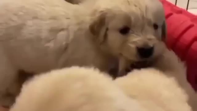 "I'm not letting you go brother"