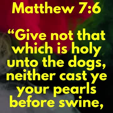 Jesus said... Give not that which is holy unto the dogs, neither cast ye your pearls before swine