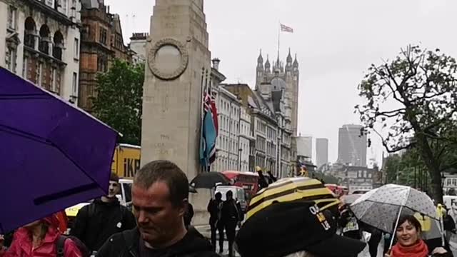 Anti Lockdown Protesters Decend In London