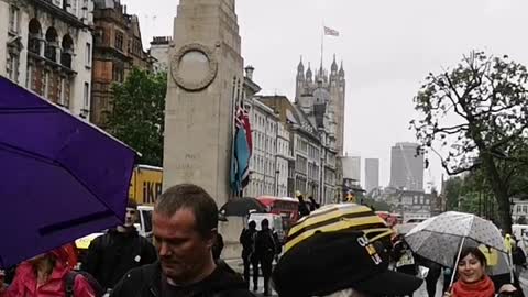 Anti Lockdown Protesters Decend In London