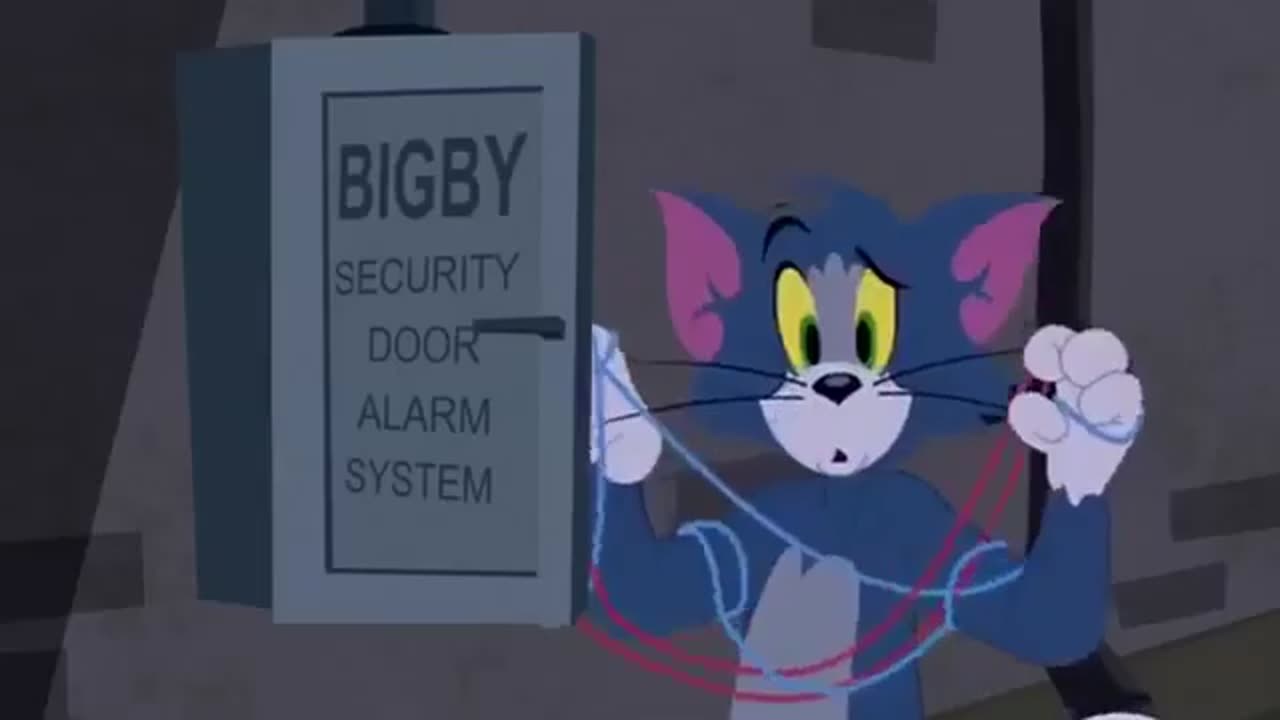 Tom and Jerry cartoon Tom and Jerry cartoon