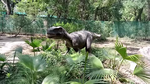 Dinosaur 🦕