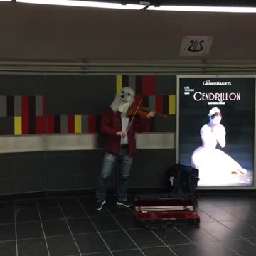 Woofgang man with dog mask plays violin