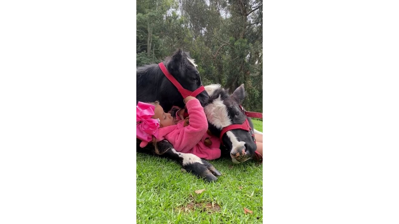 Cute baby singing to her cow friends