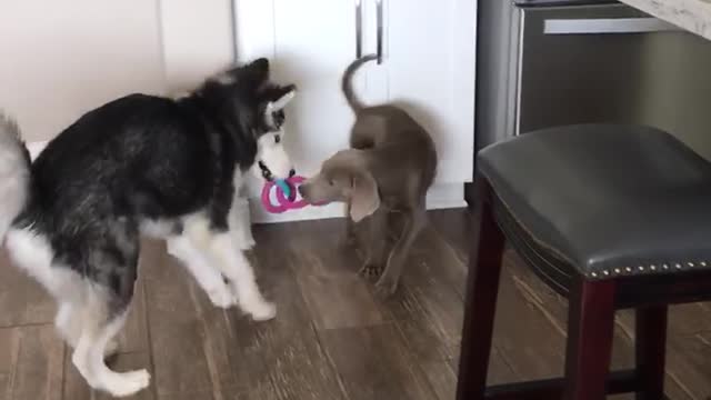 Learning To Share