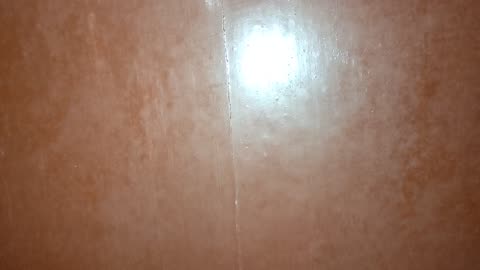 Brown wall with flashlight