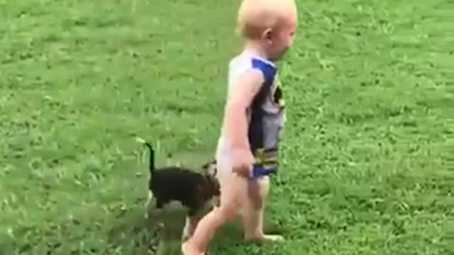 Babies and Dogs playing