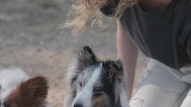 Girl playing with 2 dogs