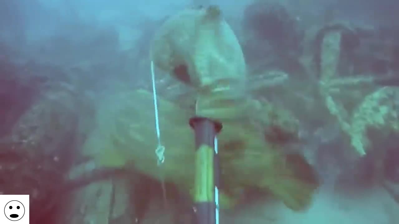 THIS HAPPENS WHEN YOU GET INTO WILD LIFE