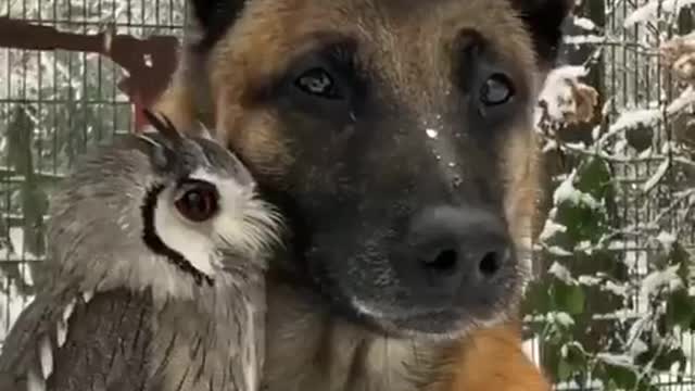 MORNING WORLD 🌎 🙏🙏