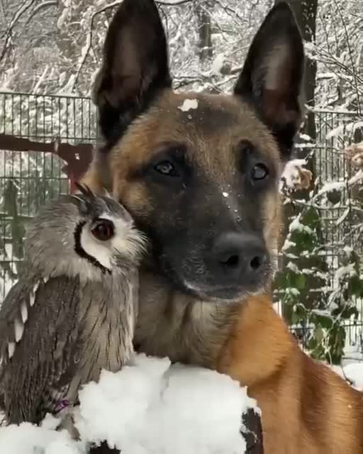 MORNING WORLD 🌎 🙏🙏