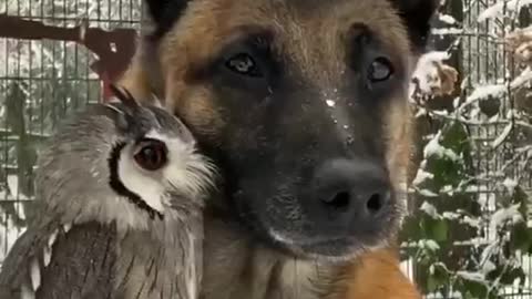 MORNING WORLD 🌎 🙏🙏