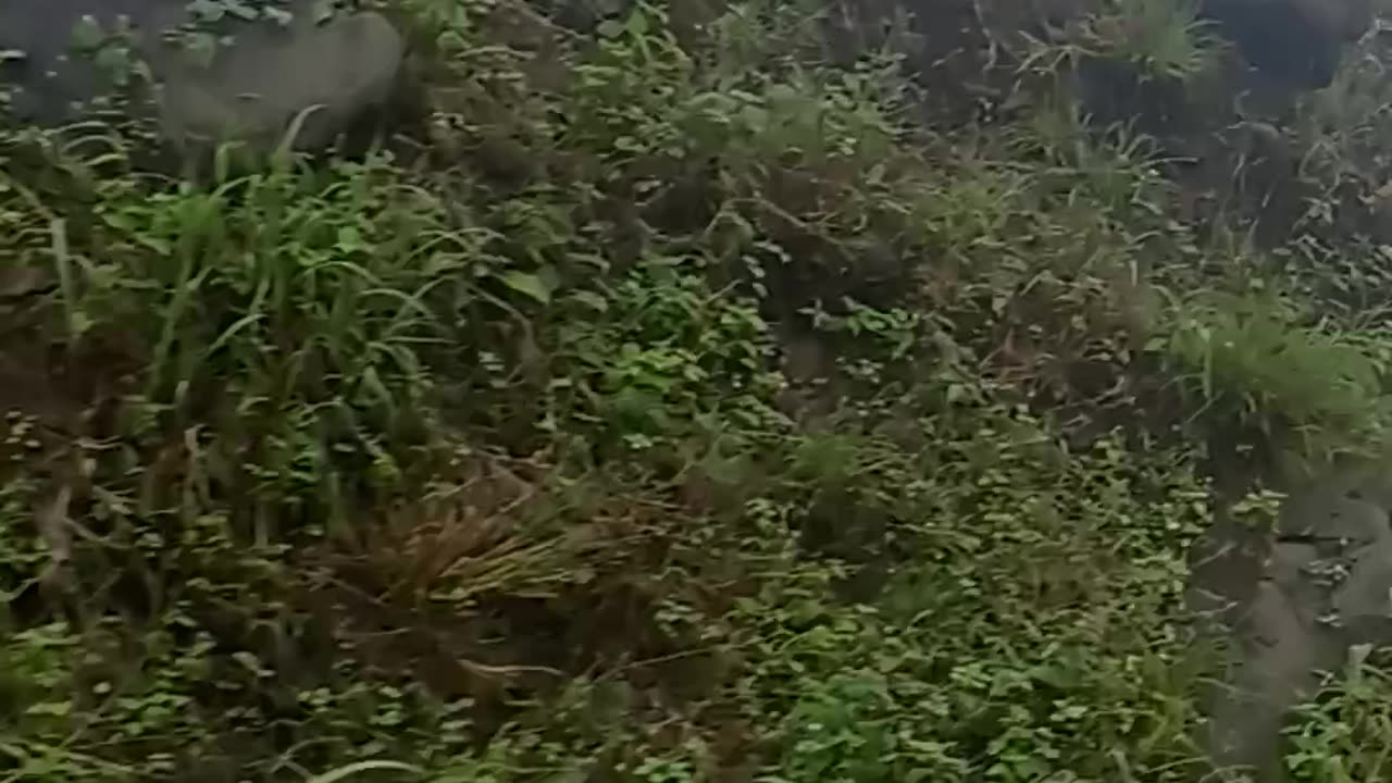 Love nature