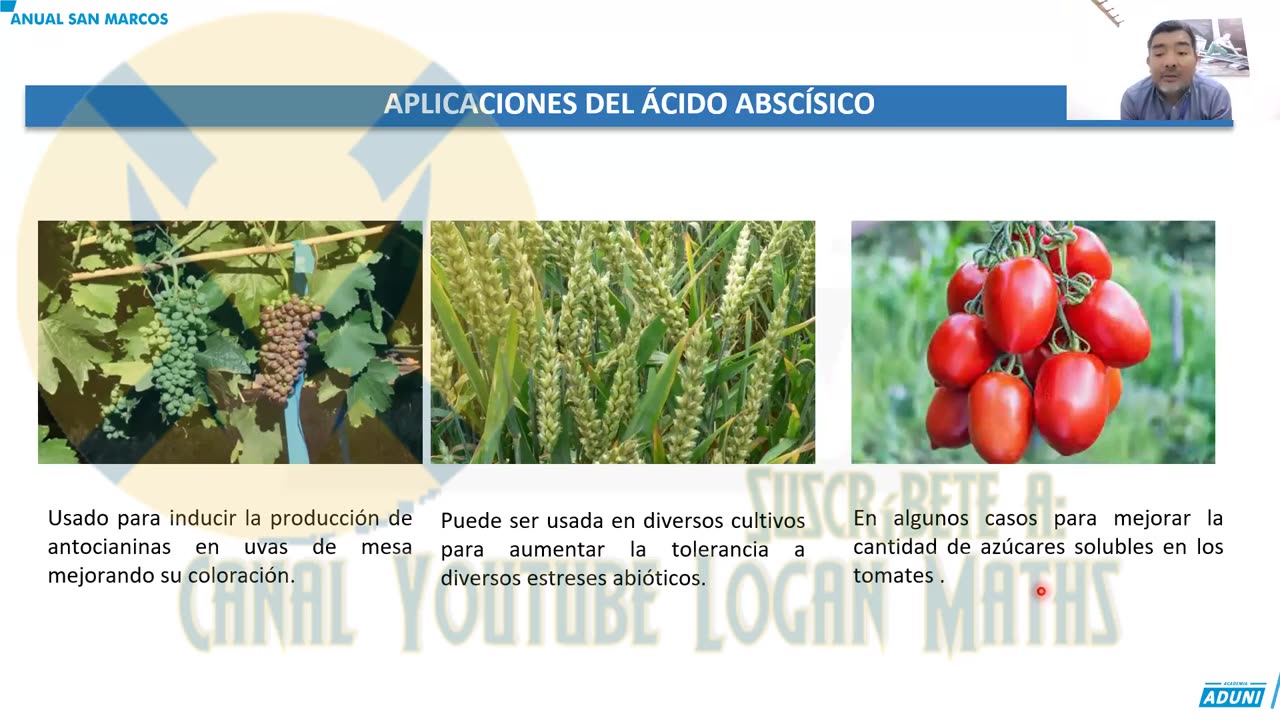 ANUAL ADUNI 2023 | Semana 23 | Biología | Química S2 | Aritmética S1