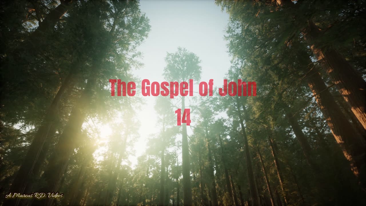 The Gospel of John 14