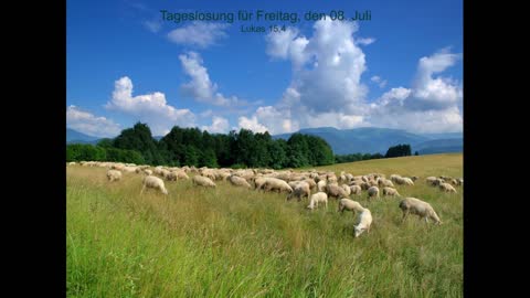 Tageslosung für Freitag, den 08. Juli