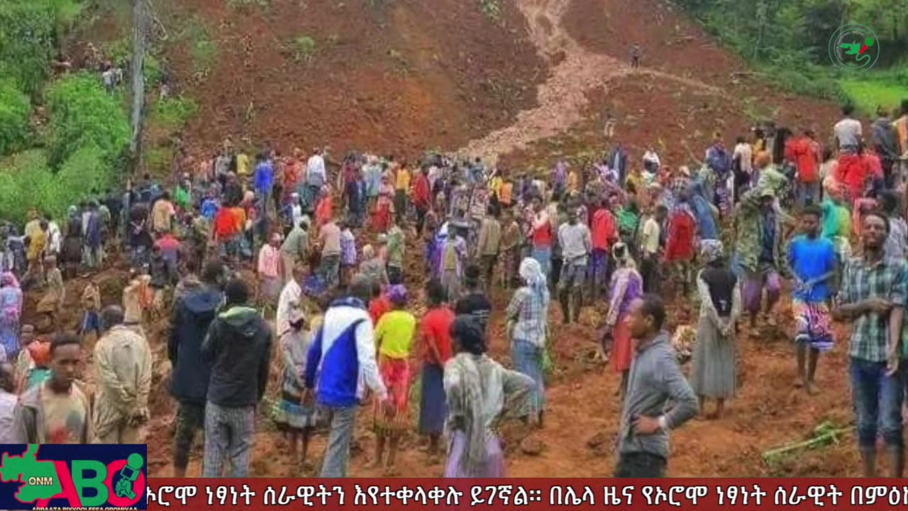 ሐምሌ 24፣ 2024 ONM-ABO እለታዊ የኦሮሞ ነፃነት ሰራዊትና የኦሮሚያ ውሎ!