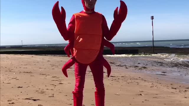 Crab Reunion