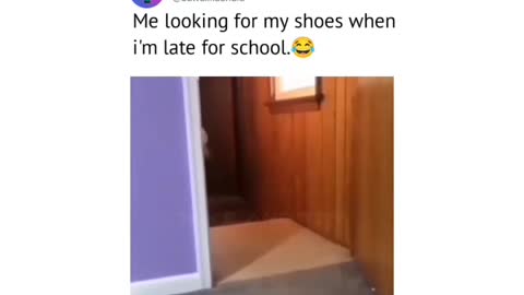 Funny 🤣 dog 🤣😀