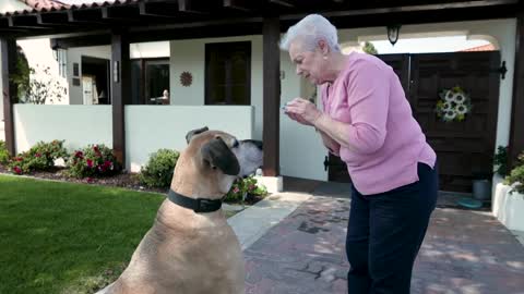 GRANDMA FEEDING HER PET.