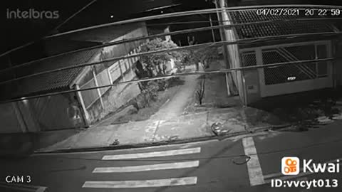 Policia - Ladrão - Gato - Cachorro - Mulher -Marido