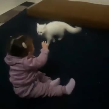 Episode #80 Funny Fight Viral Video