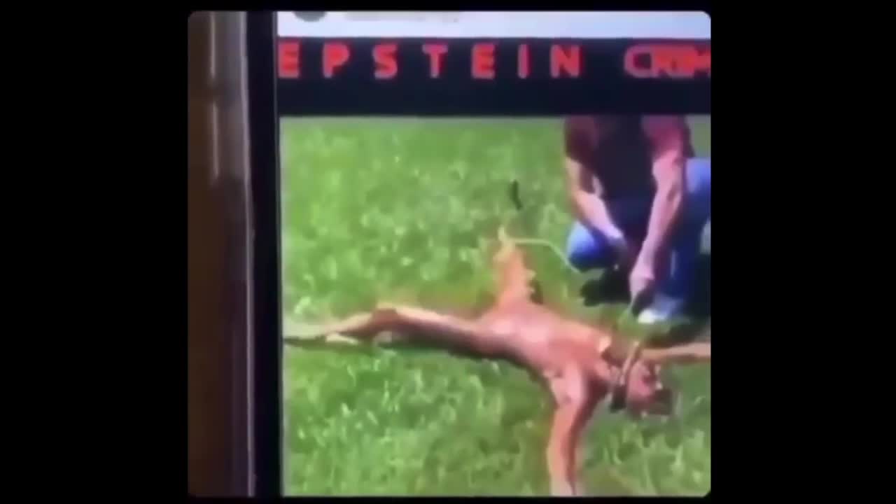 Complice , epstein , France