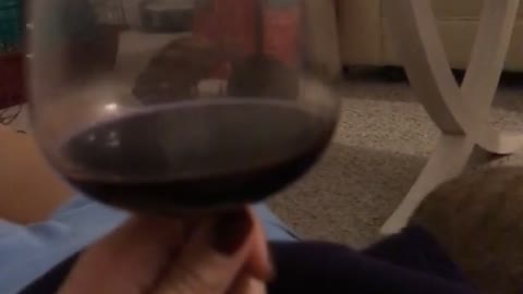 Grey rabbit wants to have a drink