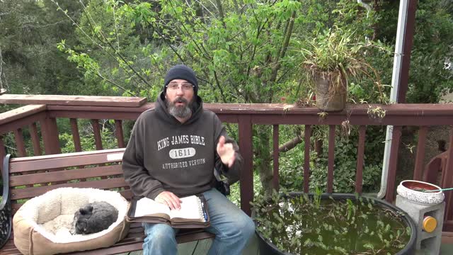 Bible by the Pond, Proverbs 16:18