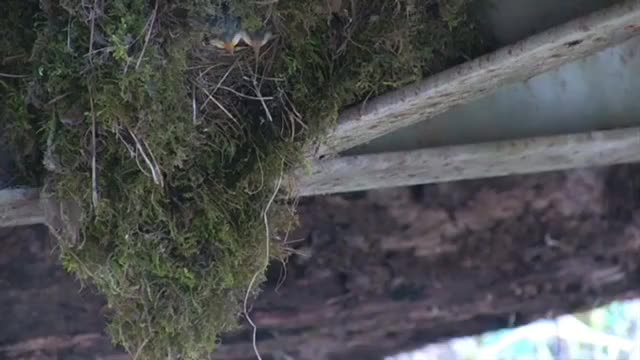 Time with God - December 26