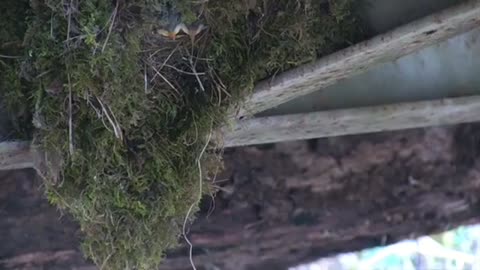 Time with God - December 26