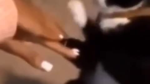 Try not to laugh 😂