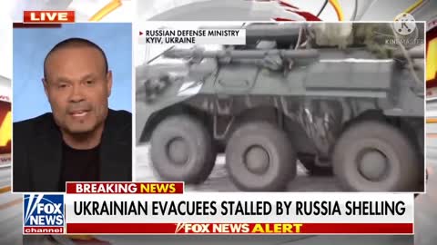 The dang bongino show