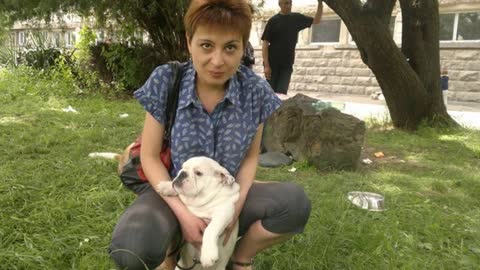 SHIK DOGI DOG, FCI Kennel of BULLDOGS & POMERANIAN!