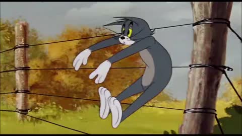 tom and jerry new