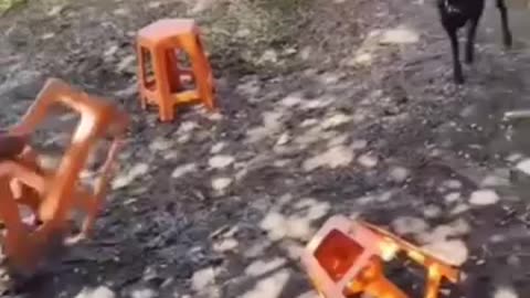 Real funny videos 😂😂