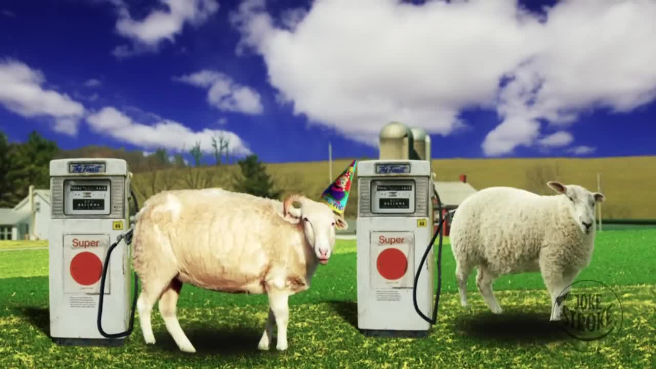Happy Birthday Animals - Funny!!!