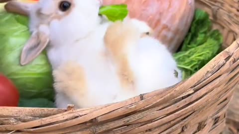♥️♥️😍😍