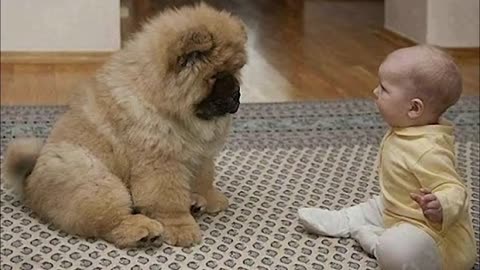 adorable babies play with puppies