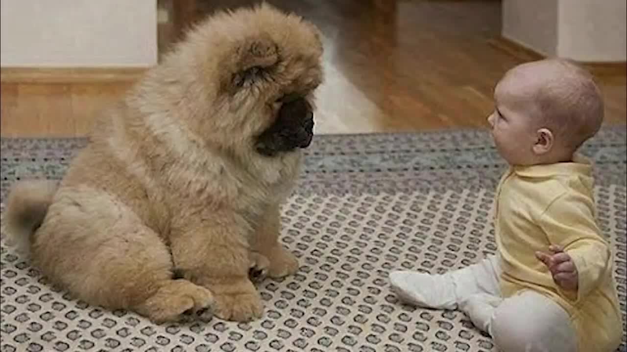 adorable babies play with puppies