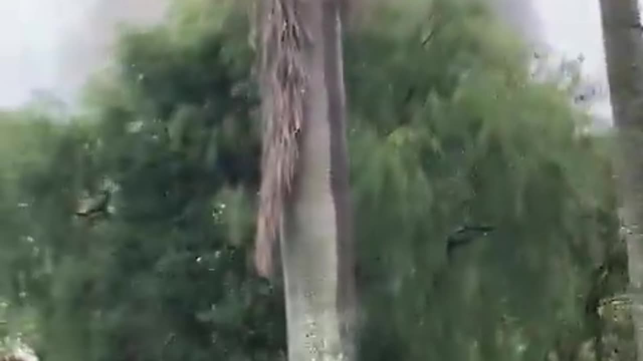 BREAKING: Flight 2283 crashing into homes in Vinhedo, Brazil.