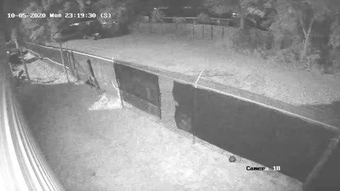 Tampa PD: Attempted Break In