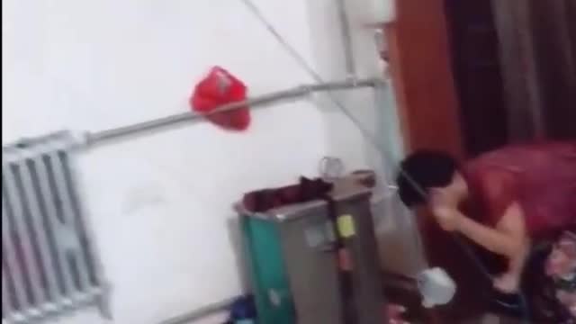 Top Funny Cute Dog Videos and Compilation short