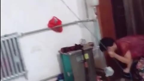 Top Funny Cute Dog Videos and Compilation short