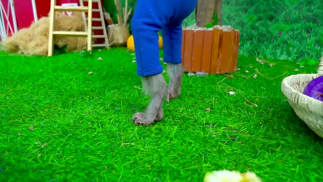 Monkey Kiki playing with Pink vs Black Oreo Ice Cream Vending Machine so funny # KUDO ANIMAL KIKI 19
