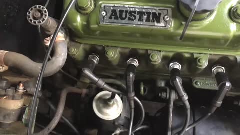 Cooking with Roger ( Still out of the kitchen )