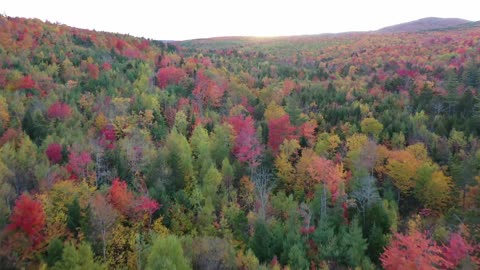 Drone video