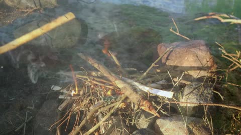 Catching Fish in Rain: CAMPING Solo on a Nordic Island