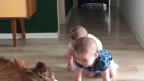 Let's See the Baby 👶 Reaction with his friend 🐕